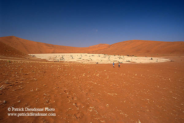 Deadvlei, Dunes and dead trees, Namibia - Deadvlei, desert du Namib - 14336