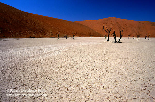 Deadvlei, Dunes and dead trees, Namibia - Deadvlei, desert du Namib - 14338