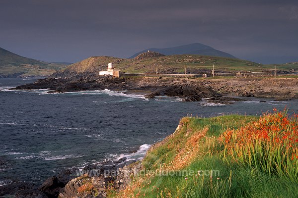 Valentia island, Kerry, Ireland - Ile de Valentia, Kerry, Irlande  15534