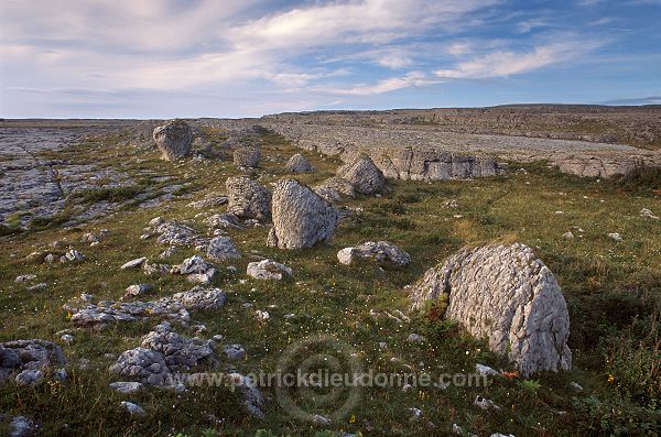 Burren karstic landscape, Ireland - Paysage karstique du Burren, Irlande  15392