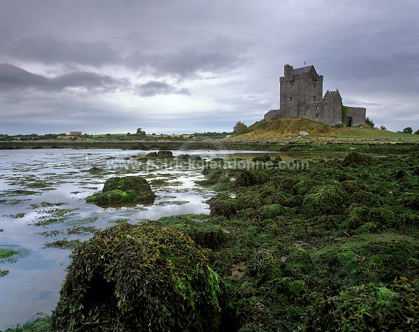 Dunguaire castle, Co Galway, Ireland - Chateau de Dunguaire, Irlande 15224