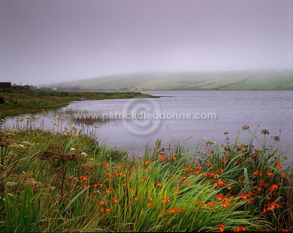 Carrowmore lake, Mayo, ireland - Carrowmore Lake, Irlande  15366