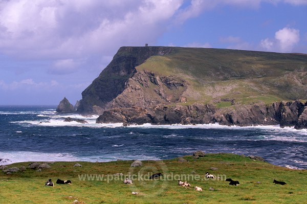 Rocky coast, Donegal,  Ireland - Côte rocheuse du Donegal, Irlande   15500