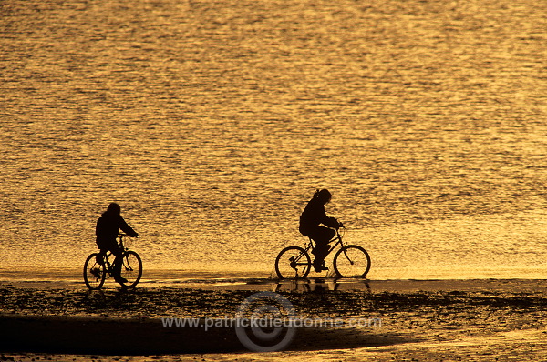 Cyclists, Aikerness, Orkney, Scotland - Cyclistes, Orcades, Ecosse  15668