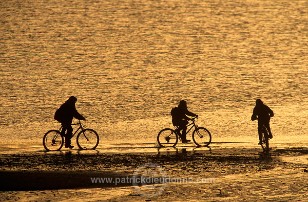 Cyclists, Aikerness, Orkney, Scotland - Cyclistes, Orcades, Ecosse  15669