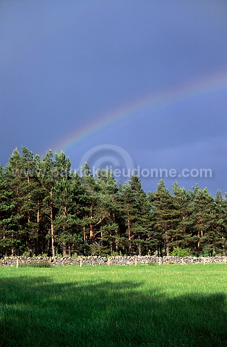 Rainbow, Grampians, Scotland - Grampians, Ecosse - 18830