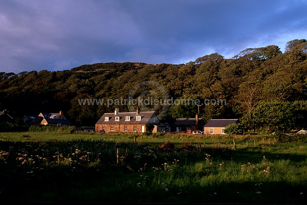 Countryside near Portencross, Scotland  - Ecosse - 16193