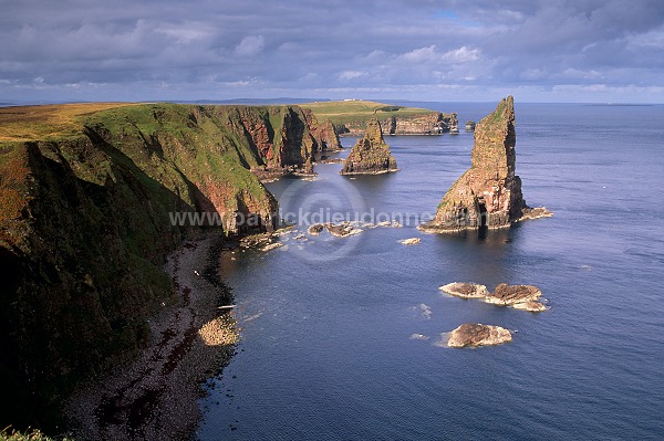 Duncansby Head, Caithness, Scotland - Ecosse - 18876