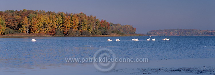 Lac de Madine, Meuse, Lorraine, France - FME174