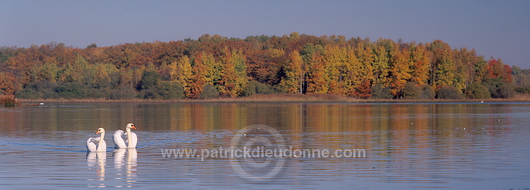 Lac de Madine, Meuse, Lorraine, France - FME176