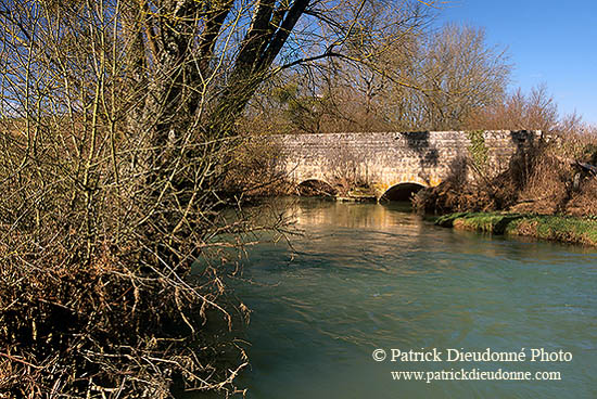 Ruisseau des Bouvades, près de Toul, Lorraine, France - 17114