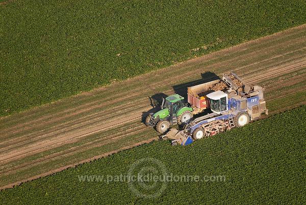Agriculture, Champagne-Ardenne, France - FMV117