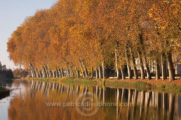 Canal en automne, Bar-le-Duc, Meuse, France - FME014