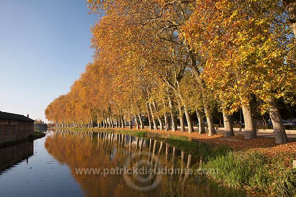 Canal en automne, Bar-le-Duc, Meuse, France - FME015