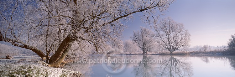 Arbres et givre, Meuse en hiver, Lorraine, France - FME152
