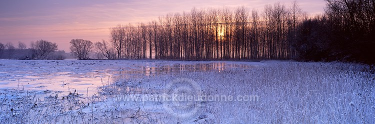 Arbres et plaine de Meuse en hiver, Lorraine, France - FME155