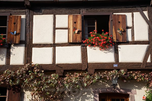 Bergheim, Haut Rhin, Alsace, France - FR-ALS-0195