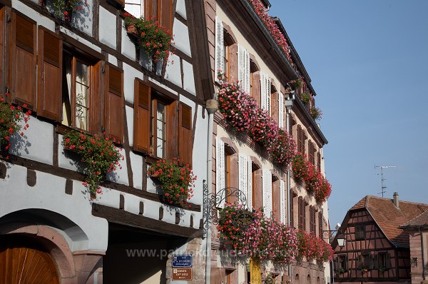 Bergheim, Haut Rhin, Alsace, France - FR-ALS-0196