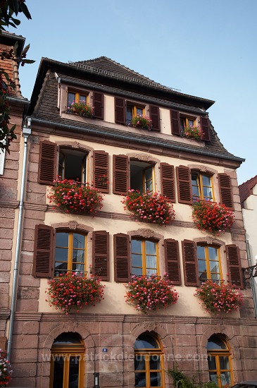Bergheim, Haut Rhin, Alsace, France - FR-ALS-0197
