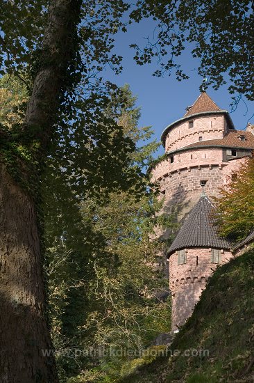 Haut-Koenigsbourg, chateau medieval (medieval castle), Alsace, France - FR-ALS-0323