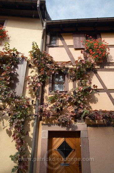Turckheim, Haut Rhin, Alsace, France - FR-ALS-0513
