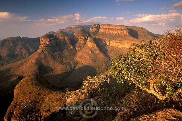 Blyde river canyon, South Africa - Afrique du Sud - 21103