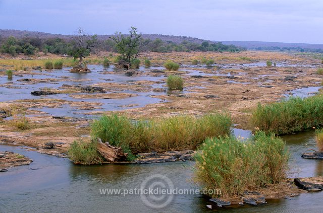 Olifants river, Kruger NP, South Africa - Afrique du sud - 21171