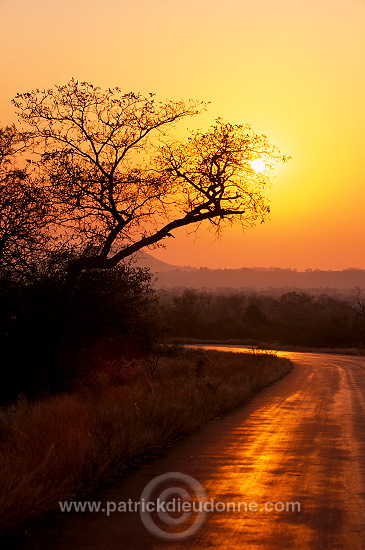 Sunrise, Kruger NP, South Africa - Afrique du Sud - 21196