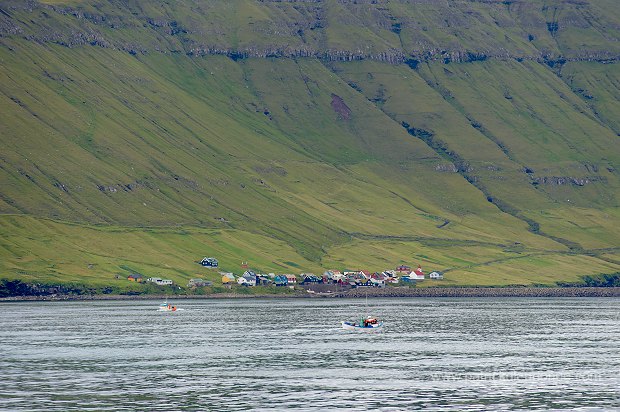 Hestur, Faroe islands - Hestur, Iles Feroe - FER460