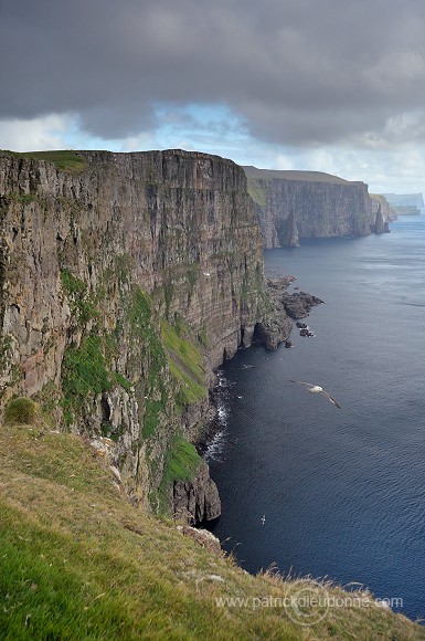 West coast of Sandoy, Faroe islands - Sandoy, iles Feroe - FER403