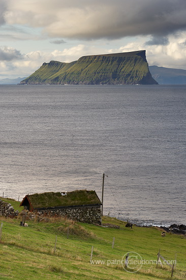 Stora Dimun, Faroe islands - Stora Dimun, Iles Feroe - FER444