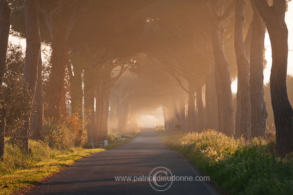 Alberese, Maremma, Tuscany - Alberese, Maremme, Toscane - it01106