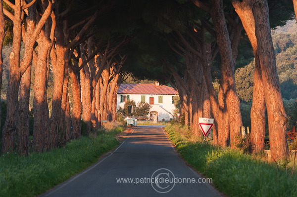 Alberese, Maremma, Tuscany - Alberese, Maremme, Toscane - it01107