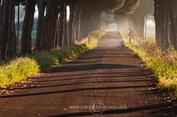 Alberese, Maremma, Tuscany - Alberese, Maremme, Toscane - it01111