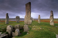 Callanish stones, Lewis, Scotland - Lewis, Ecosse - 18699