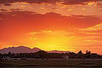 Sohar, Batinah. Red Sunset - Couchant à Sohar, Batinah  (OM10237)