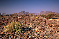 Khatmat Milahah gravel plains, Hajar mountains - Khatmat, OMAN (OM10245)