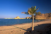 Muscat. Beach at Qantab, near Muscat - Plage à Qantab, Oman (OM10511)