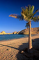 Muscat. Beach at Qantab, near Muscat - Plage à Qantab, Oman (OM10512)