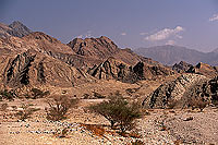 Gravel plain, SE. of Muscat - Plaine de gravier, OMAN (OM10519)