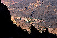 Wadi Bani Awf, Djebel Akhdar - Vallée Bani Awf, OMAN (OM10223)
