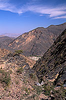 Hat, Wadi Bani Awf, Djebel Akhdar - Village de Hat, OMAN (OM10225)