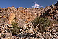 Wadi Bani Awf, watchtower - Tour de garde, Bani Awf, OMAN (OM10369)