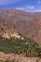 Misfat, traditional village, djebel Akhdar - Misfat, village, OMAN (OM10179)