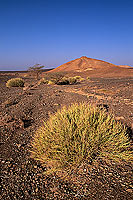 Al Mudaybi, Sharqiyah. Gravel plains - Plaine, Al Mudaybi, Oman (OM10335)