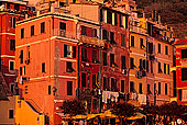 Liguria - Ligurie, Cinque Terre: Vernazza harbour - Vernazza  12208