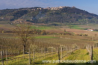 Montalcino, Tuscany - Montalcino, Toscane - it01026