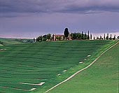 Tuscany, farm near Pienza  - Toscane, ferme et cyprès  12683