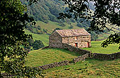 Swaledale, old barn, Yorkshire Dales NP, England - Grange traditionnelle 12782