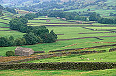 Swaledale valley, Yorkshire NP, England - Valléé de Swaledale 12793